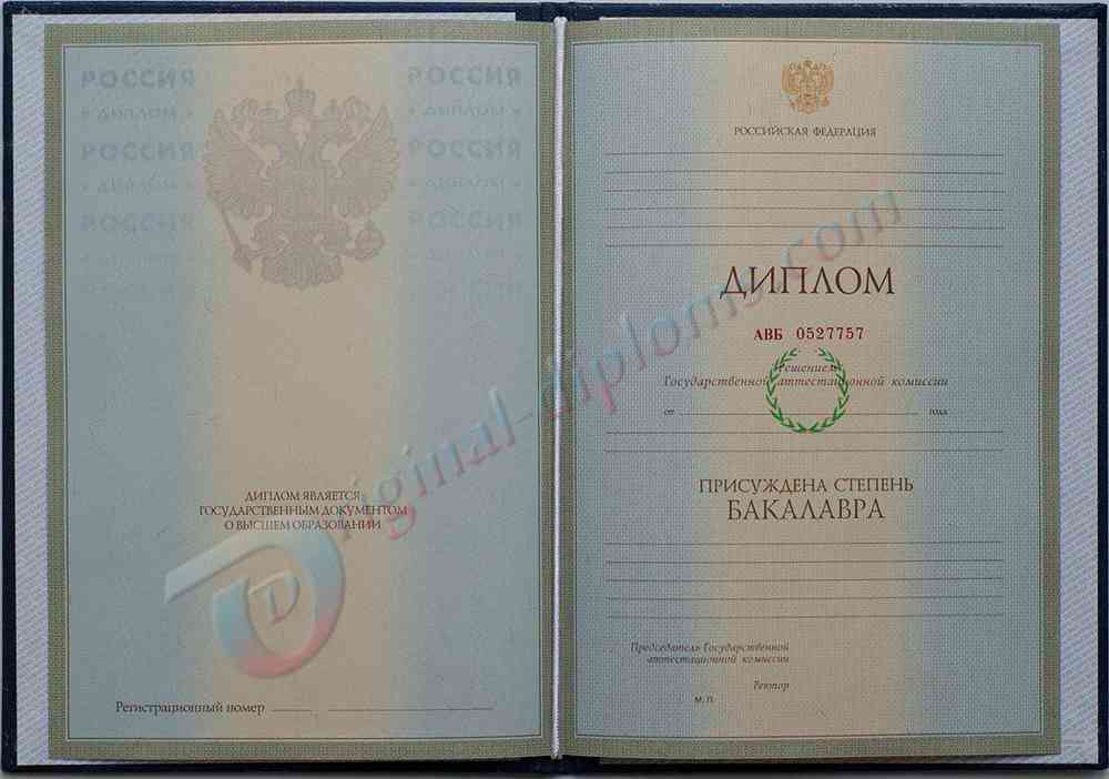 Диплом бакалавра 2004-2009